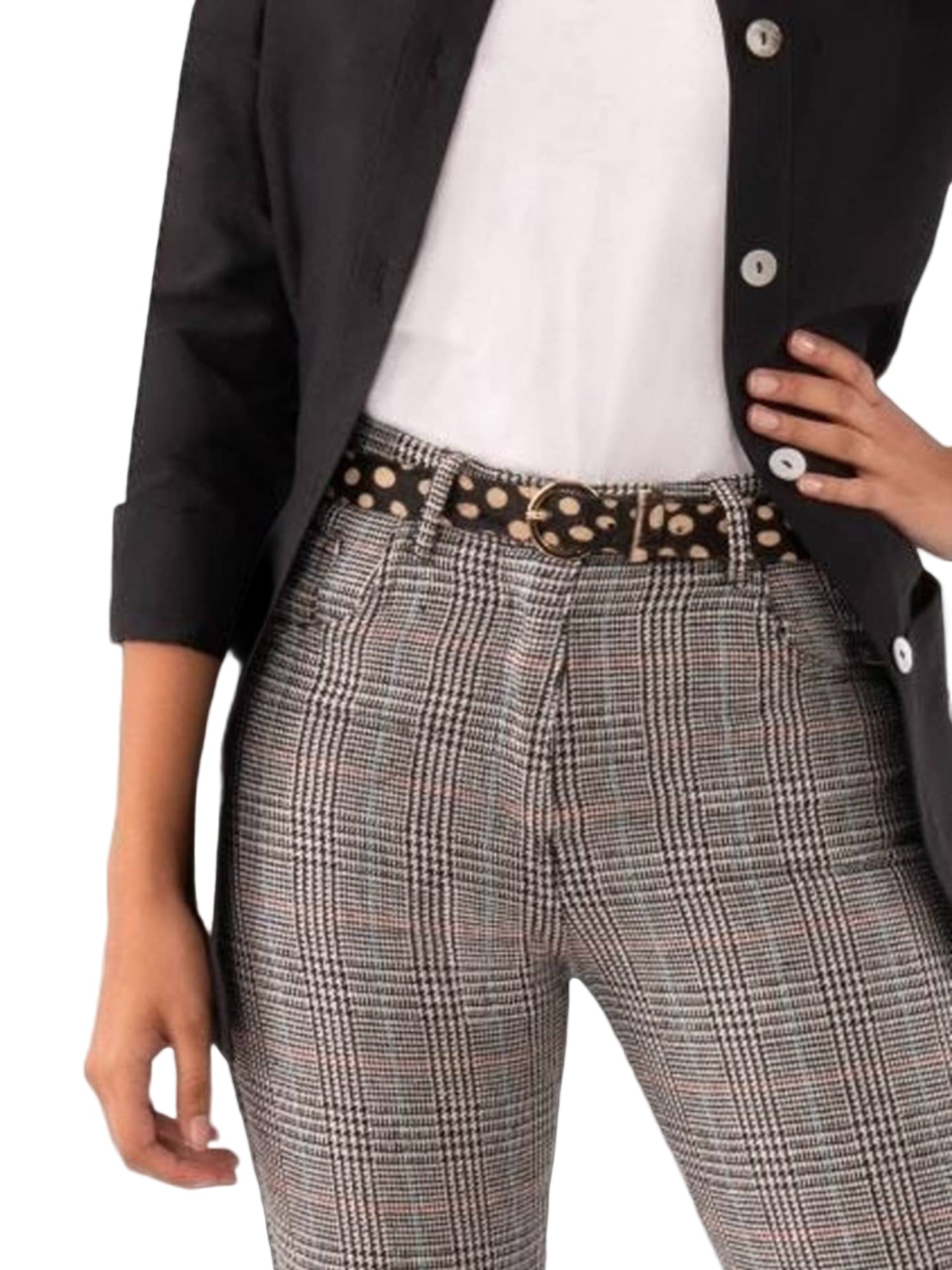 1 or 2 Inch Belted Bliss - Dalmation