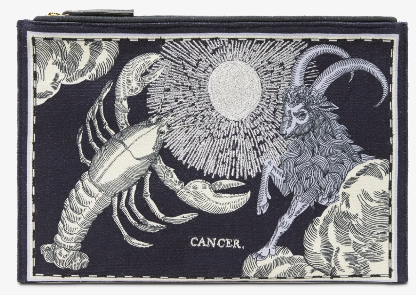 Embroidered Pouch