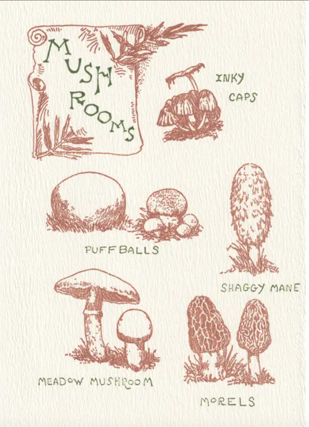 HOME - Saturn Press Cards