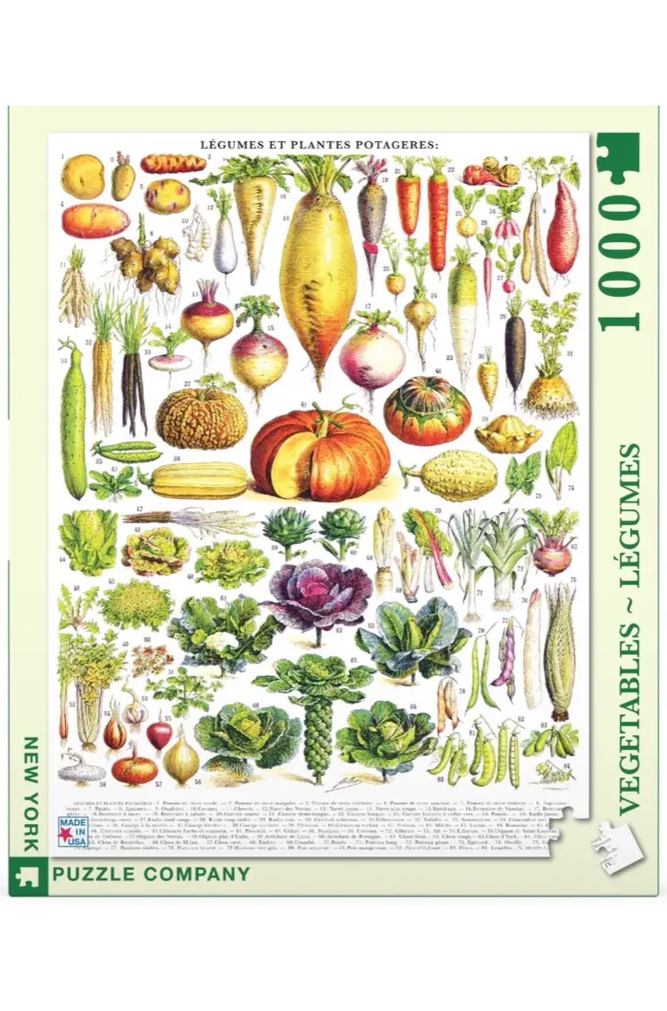 1000 Piece Jigsaw Puzzle