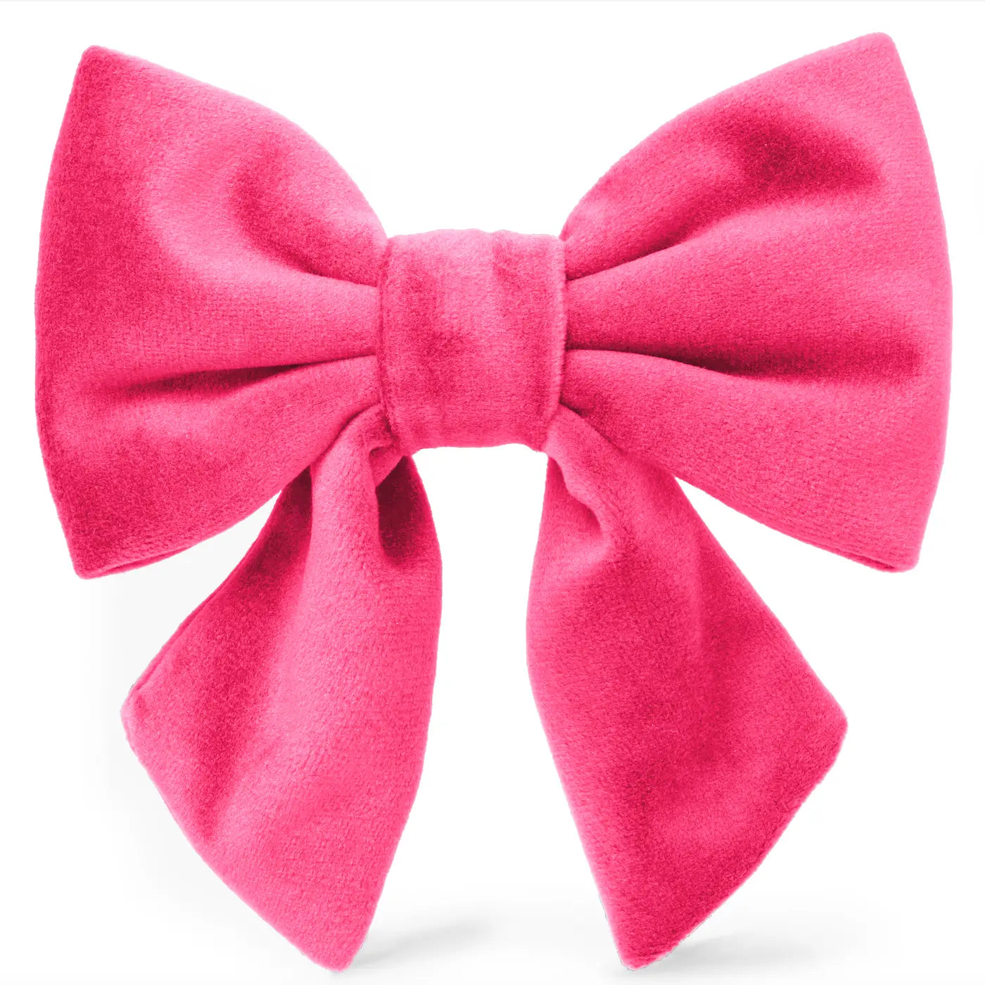 Burgundy Velvet Lady Dog Bow