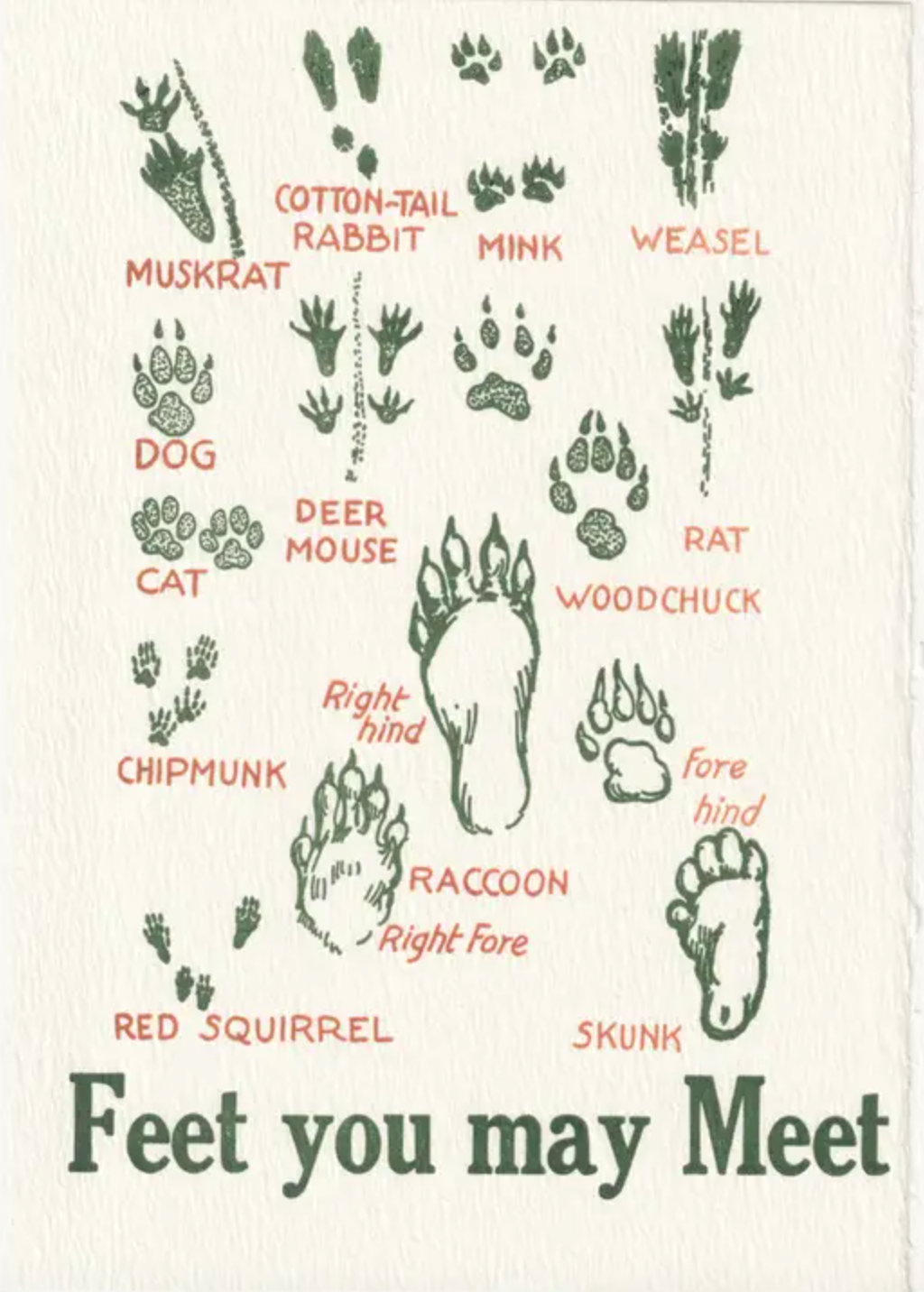 HOME - Saturn Press Cards