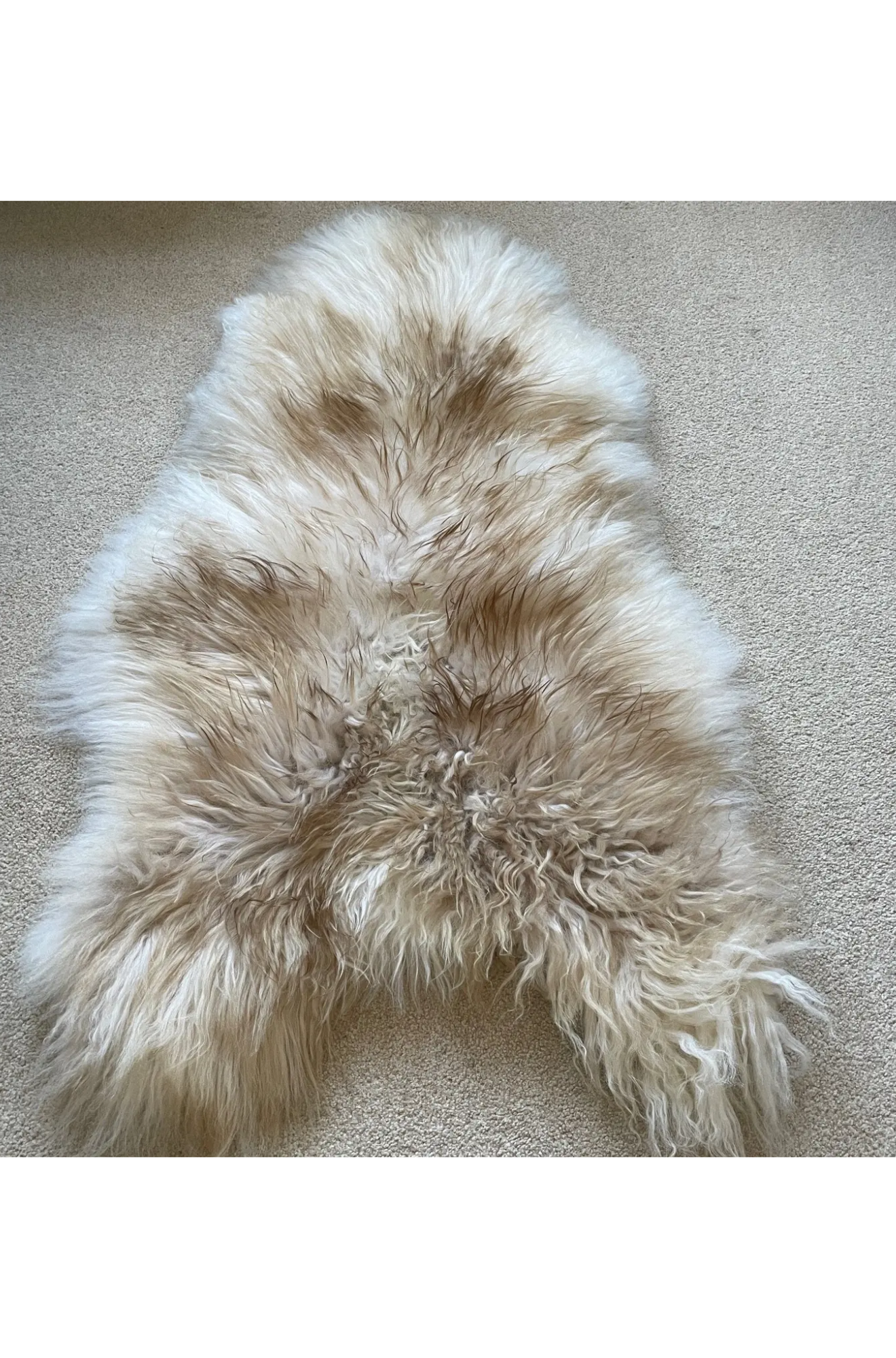 Icelandic Latté Sheepskin Rug