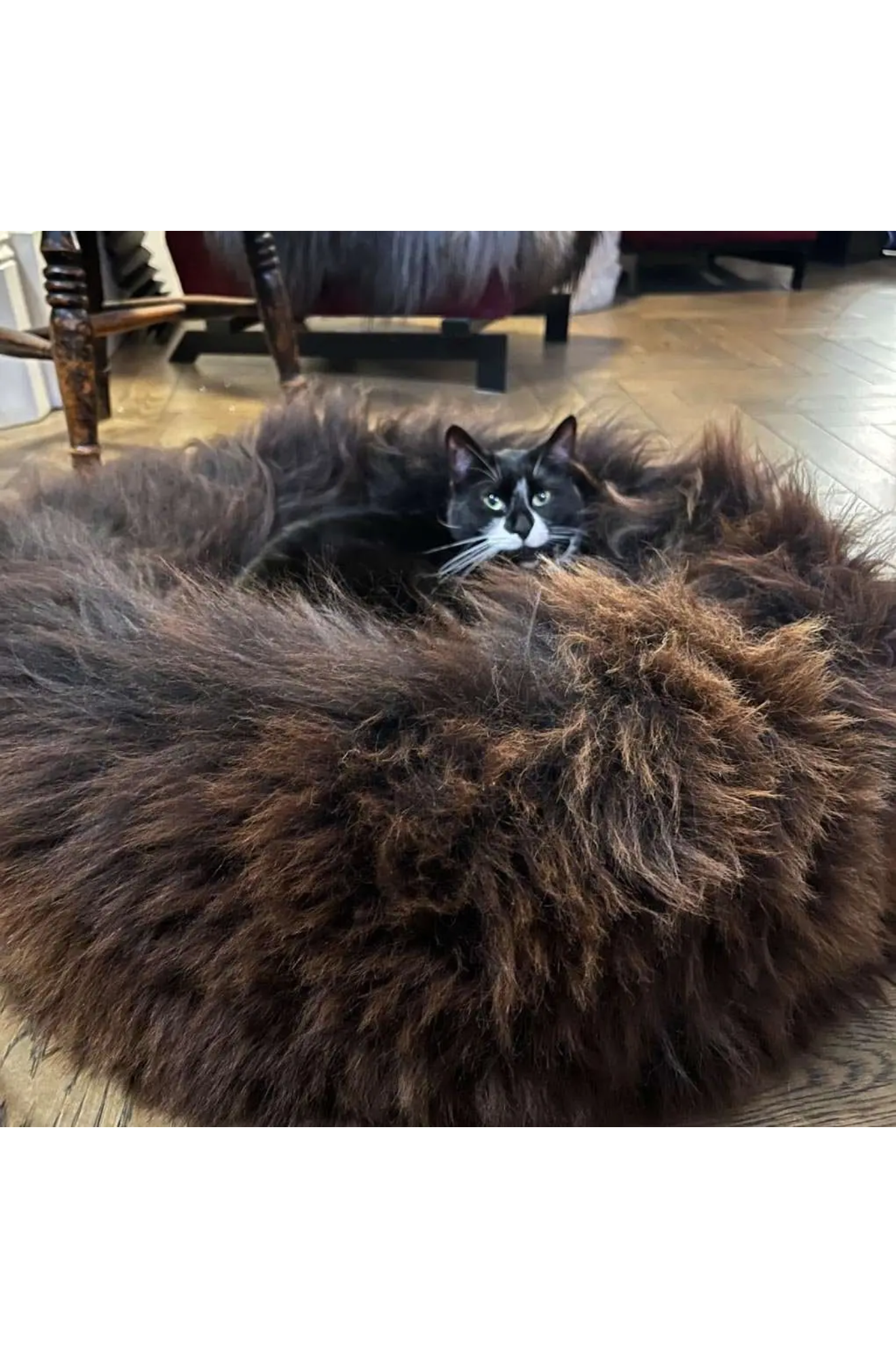 British Sheepskin Round Pet Bed
