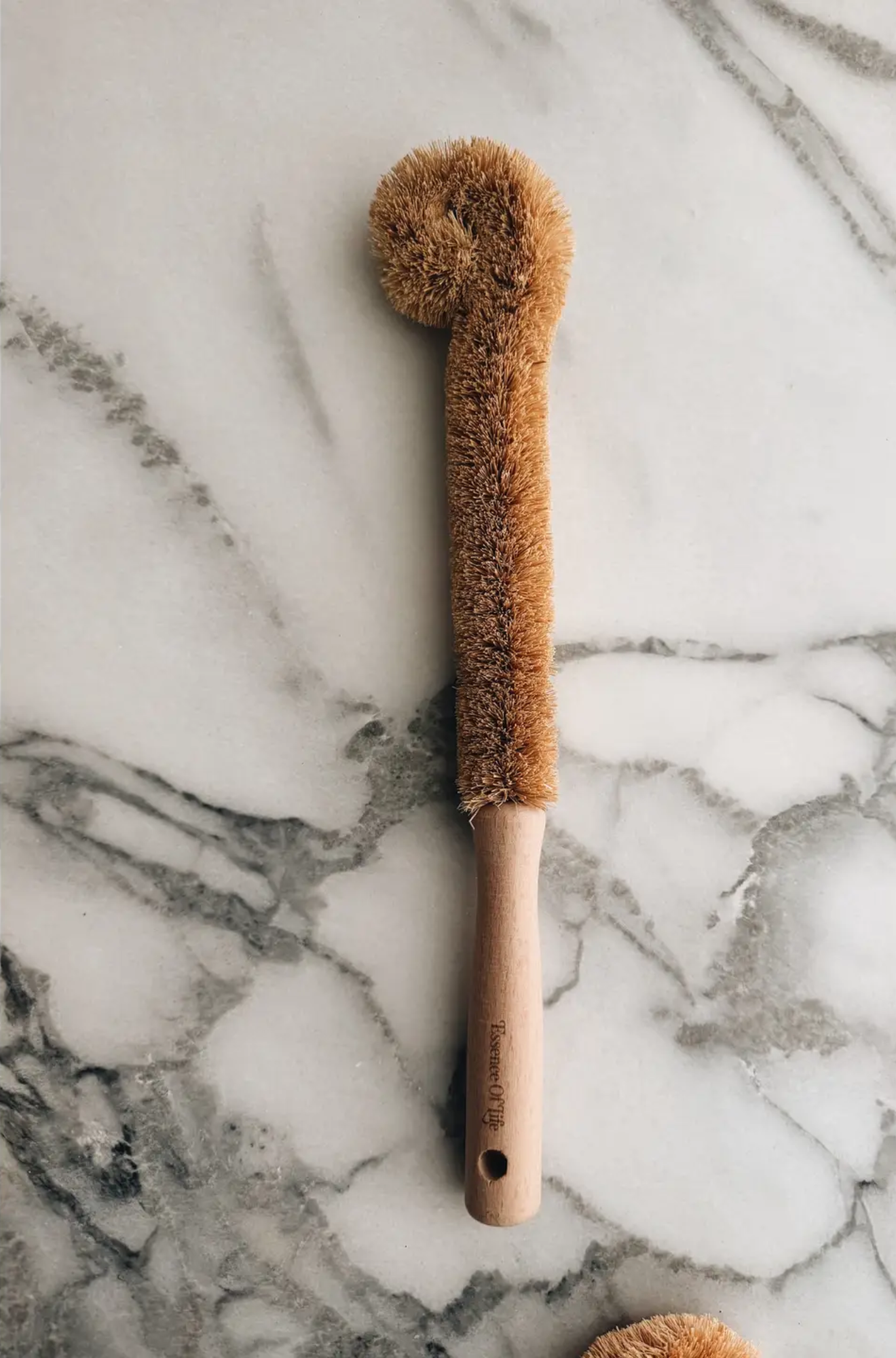 Plant-Based Bottle Brush