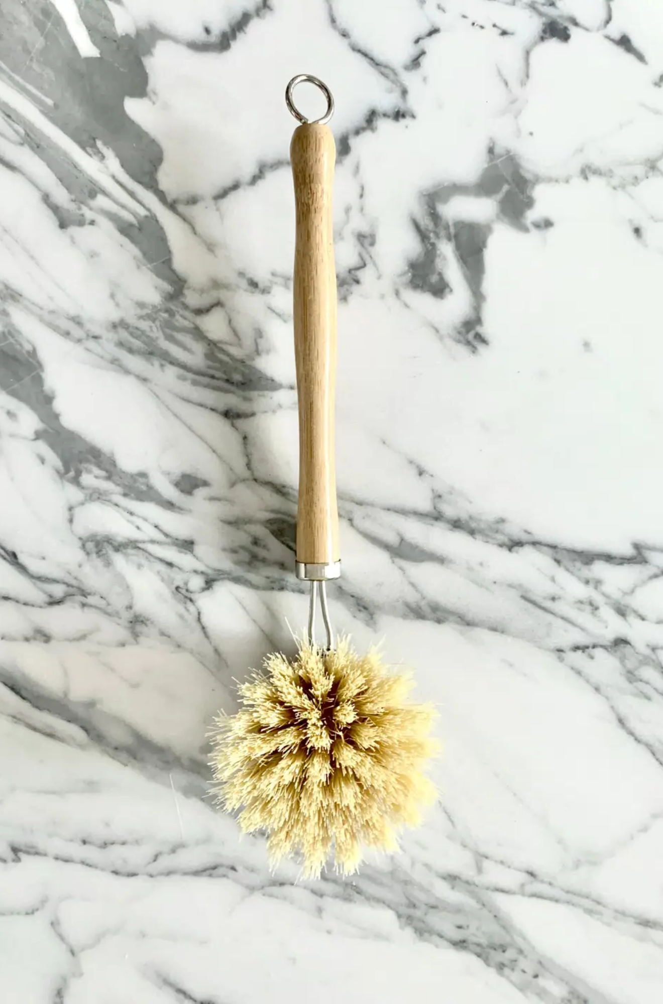 Reusable Dish Brush with A 100% Compostable Head