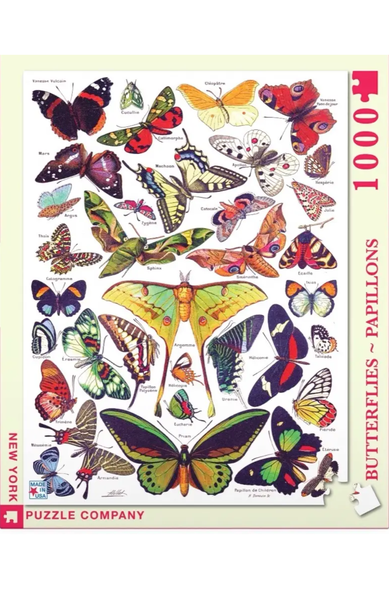 1000 Piece Jigsaw Puzzle